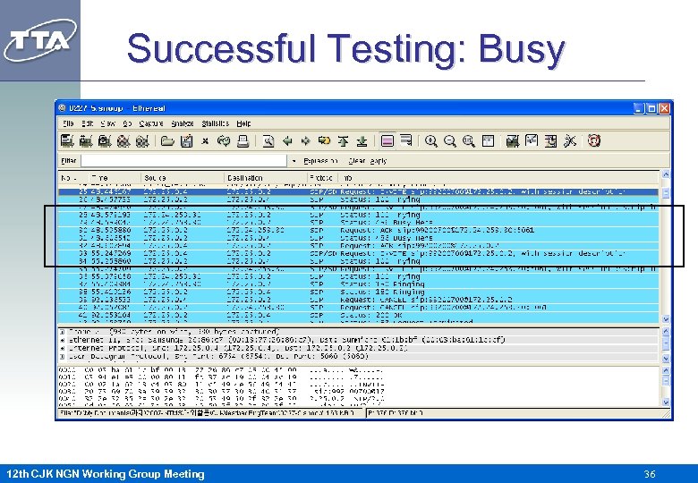 Successful Testing: Busy 12 th CJK NGN Working Group Meeting 36 
