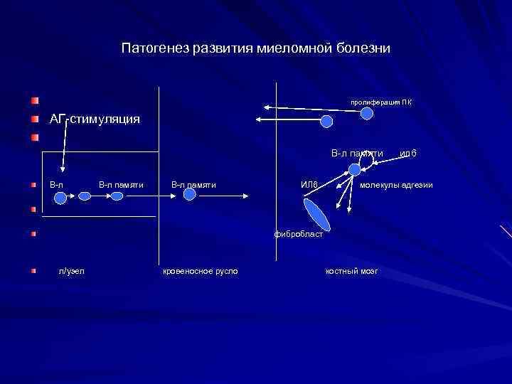 Патогенез развития миеломной болезни пролиферация ПК АГ-стимуляция В-л памяти ИЛ 6 молекулы адгезии фибробласт