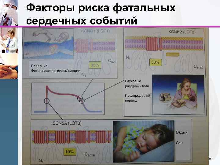 Факторы риска фатальных сердечных событий www. themegallery. com 