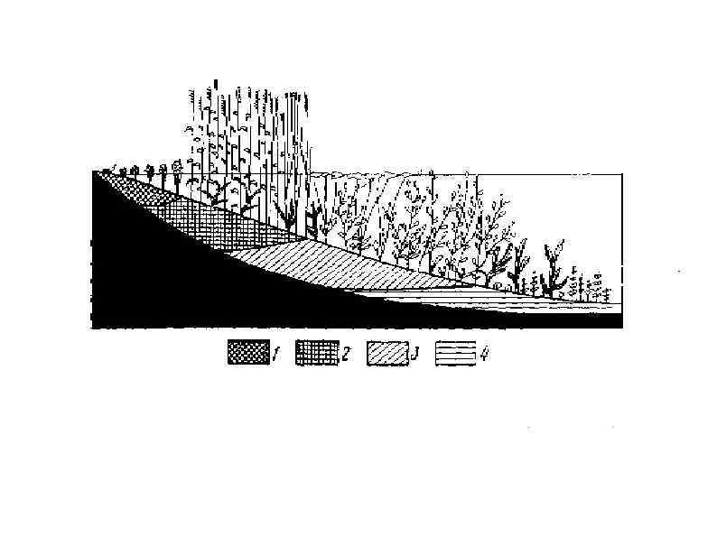 Схема зарастания озера