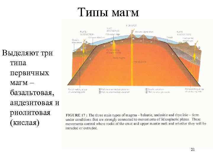 Типы магм Выделяют три типа первичных магм – базальтовая, андезитовая и риолитовая (кислая) 21