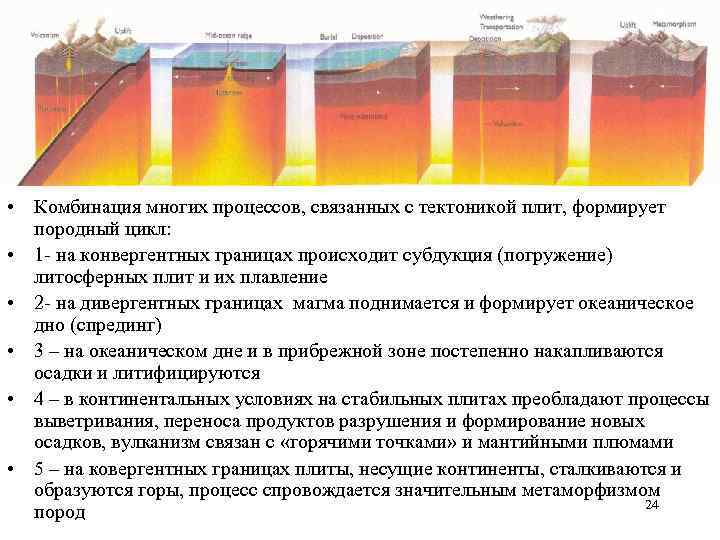  • Комбинация многих процессов, связанных с тектоникой плит, формирует породный цикл: • 1