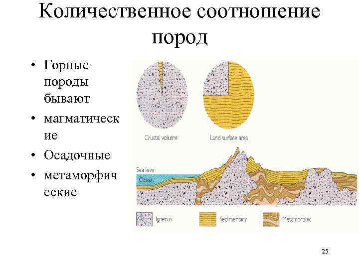 Количественное соотношение пород • Горные породы бывают • магматическ ие • Осадочные • метаморфич