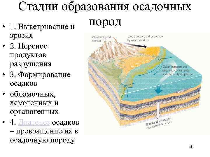 Внутренние процессы земли приводят к 5. Стадии образования осадочных горных пород. Стадии формирования осадочных пород. Схема образования осадочных пород. Формирование горных пород.