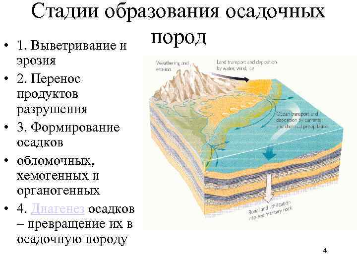 Стадии образования горных пород. Стадии образования осадочных горных пород. Схема образования осадочных пород. Стадии образования земли.