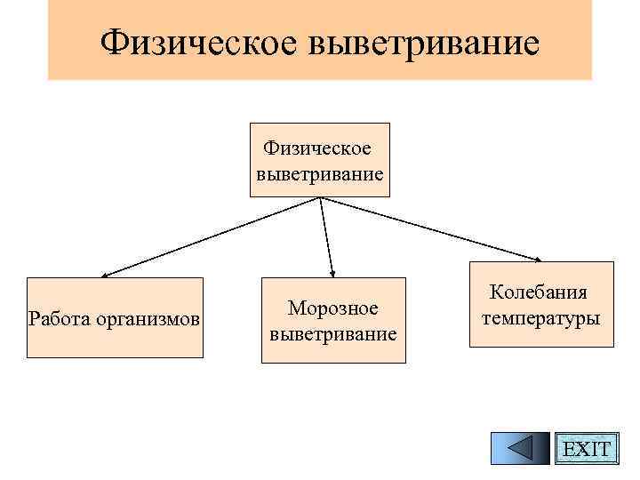 Физическое выветривание Работа организмов Морозное выветривание Колебания температуры 8 EXIT 