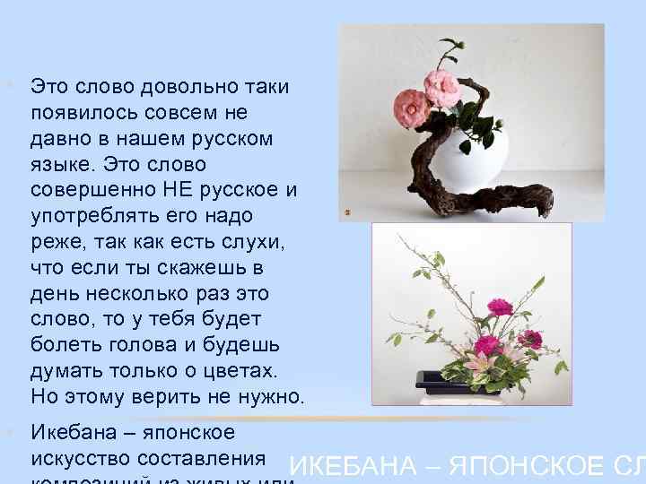  • Это слово довольно таки появилось совсем не давно в нашем русском языке.