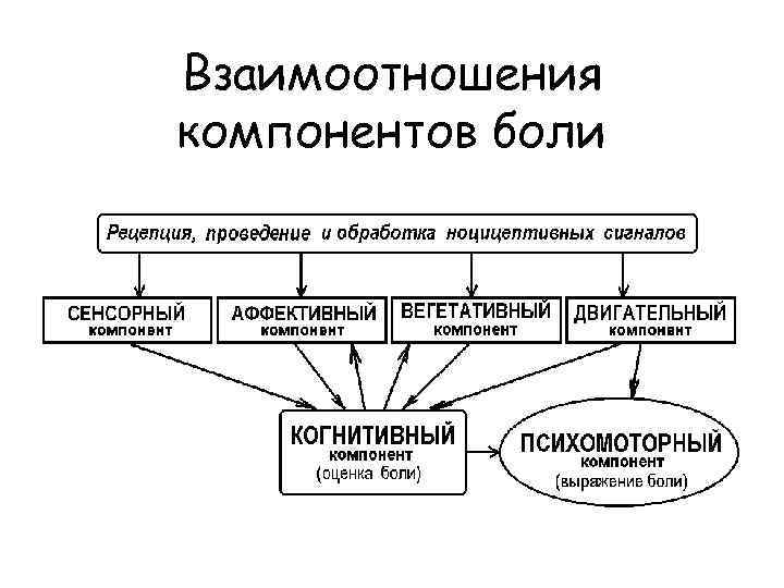 Взаимоотношения компонентов боли 