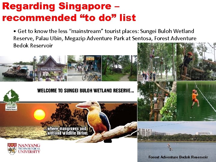 Regarding Singapore – recommended “to do” list • Get to know the less “mainstream”