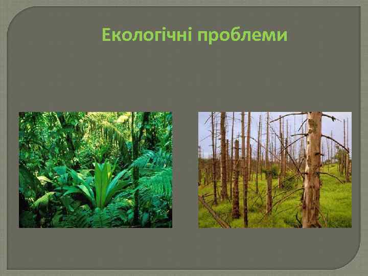 Екологічні проблеми 