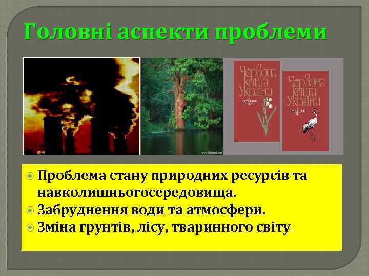 Головні аспекти проблеми Проблема стану природних ресурсів та навколишньогосередовища. Забруднення води та атмосфери. Зміна