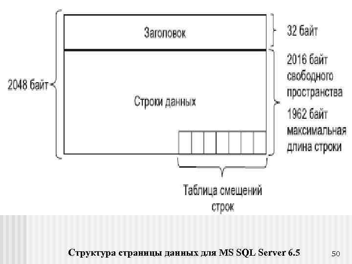 Структура страницы данных для MS SQL Server 6. 5 50 