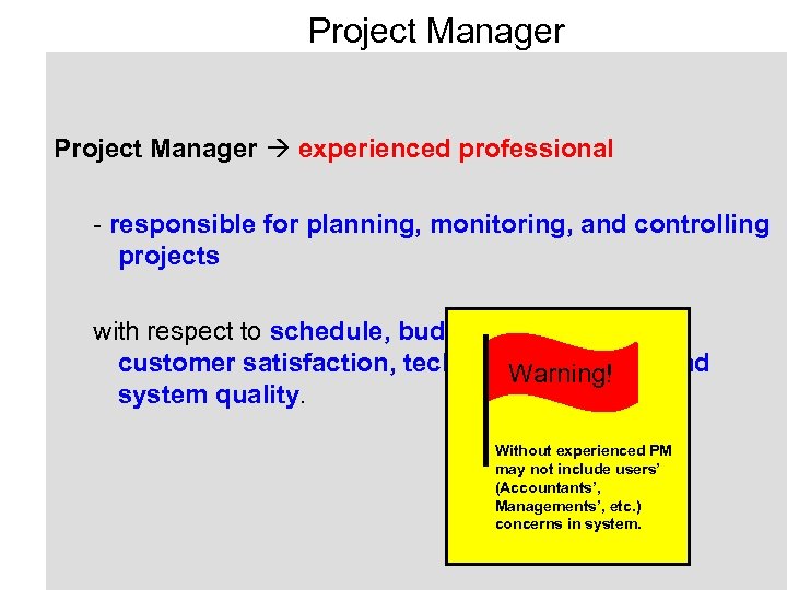 Project Manager experienced professional - responsible for planning, monitoring, and controlling projects with respect