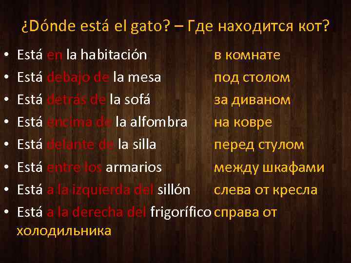 ¿Dónde está el gato? – Где находится кот? • • Está en la habitación