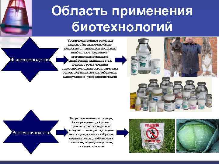 Область применения биотехнологий Животноводство Растениеводство Усовершенствование кормовых рационов (производство белка, аминокислот, витаминов, кормовых антибиотиков,