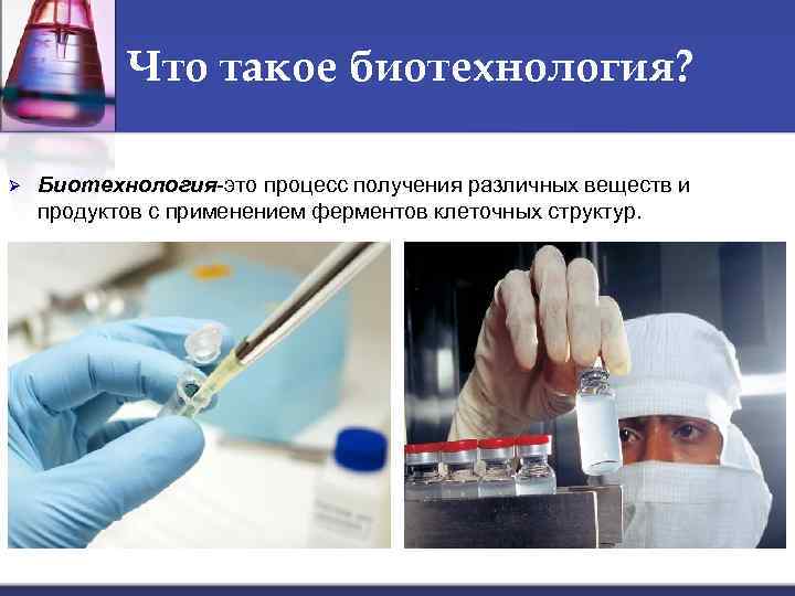 Что такое биотехнология? Ø Биотехнология это процесс получения различных веществ и продуктов с применением