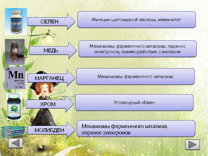 Презентация микроэлементы и их роль в организме человека