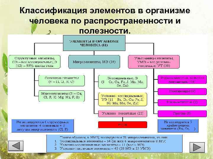 Обеспечивающий элемент это. Классификация элементов в организме человека. Классификация элементов в организме человека по распространенности. Редкие элементы классификация. Классификации элементов по распространенности..