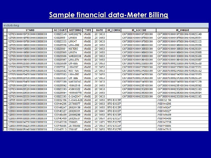 Sample financial data-Meter Billing 