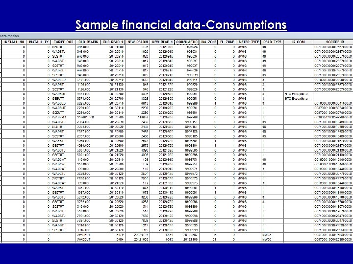 Sample financial data-Consumptions 