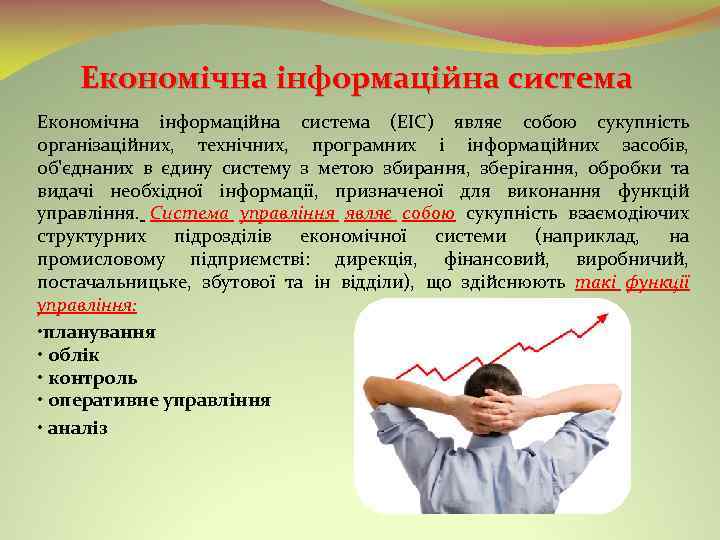 Економічна інформаційна система (ЕІС) являє собою сукупність організаційних, технічних, програмних і інформаційних засобів, об'єднаних