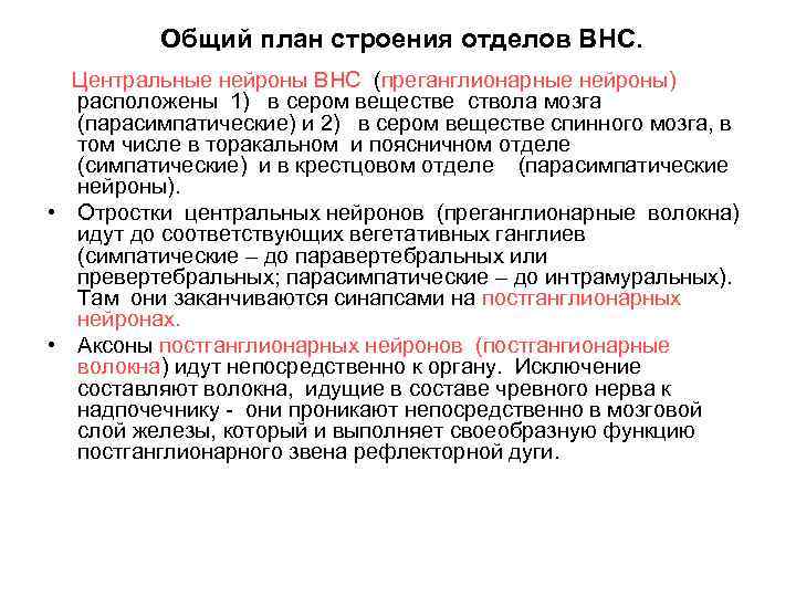 Общий план строения отделов ВНС. Центральные нейроны ВНС (преганглионарные нейроны) расположены 1) в сером