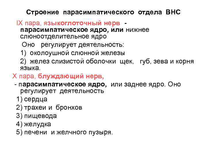 Строение парасимпатического отдела ВНС IX пара, языкоглоточный нерв парасимпатическое ядро, или нижнее слюноотделительное ядро