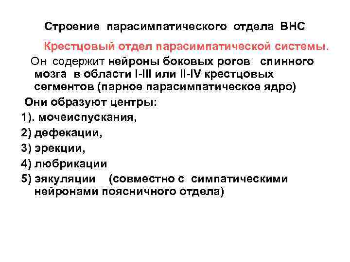 Строение парасимпатического отдела ВНС Крестцовый отдел парасимпатической системы. Он содержит нейроны боковых рогов спинного