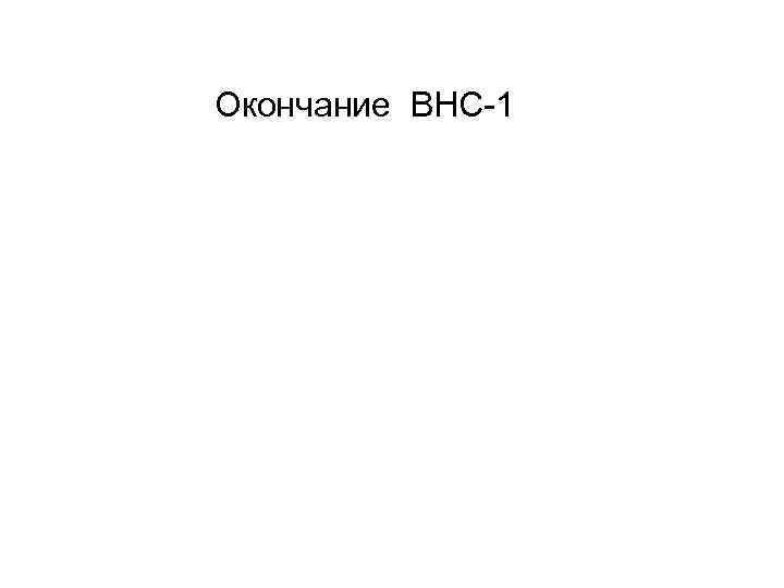 Окончание ВНС-1 