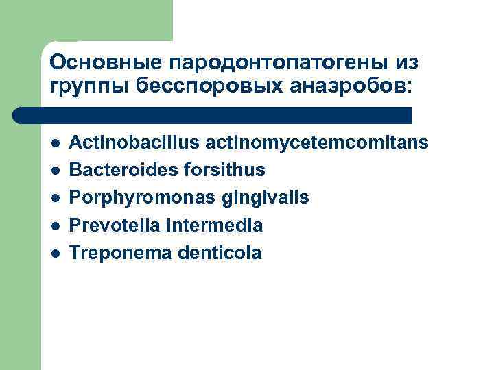 Основные пародонтопатогены из группы бесспоровых анаэробов: l l l Actinobacillus actinomycetemcomitans Bacteroides forsithus Porphyromonas