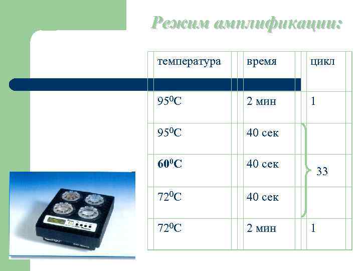 Режим амплификации: температура время цикл 950 С 2 мин 1 950 С 40 сек