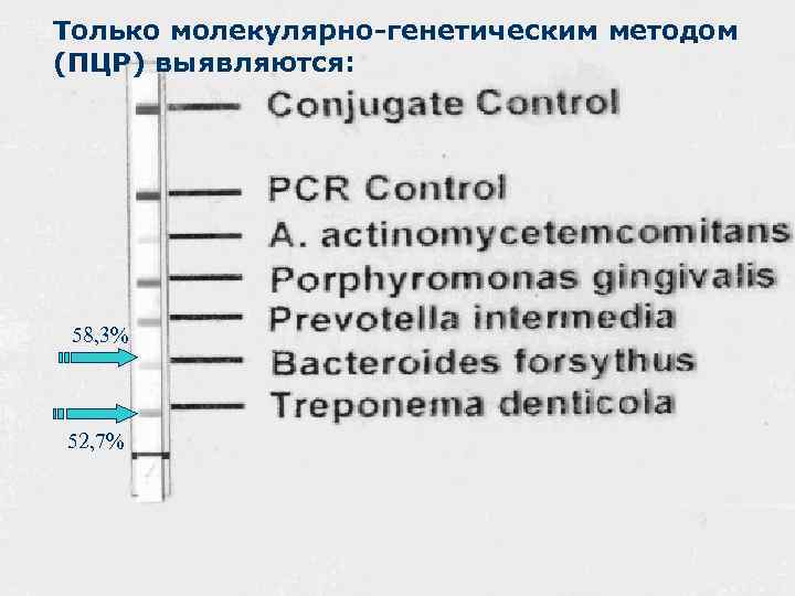 Только молекулярно-генетическим методом (ПЦР) выявляются: 58, 3% 52, 7% 
