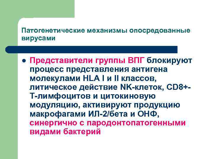 Патогенетические механизмы опосредованные вирусами l Представители группы ВПГ блокируют процесс представления антигена молекулами HLA