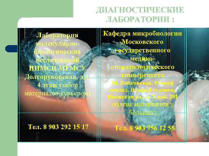 ДИАГНОСТИЧЕСКИЕ ЛАБОРАТОРИИ : Лаборатория молекулярнобиологических исследований НИМСИ МГМСУ Долгоруковская, д. 4, 4 этаж (забор