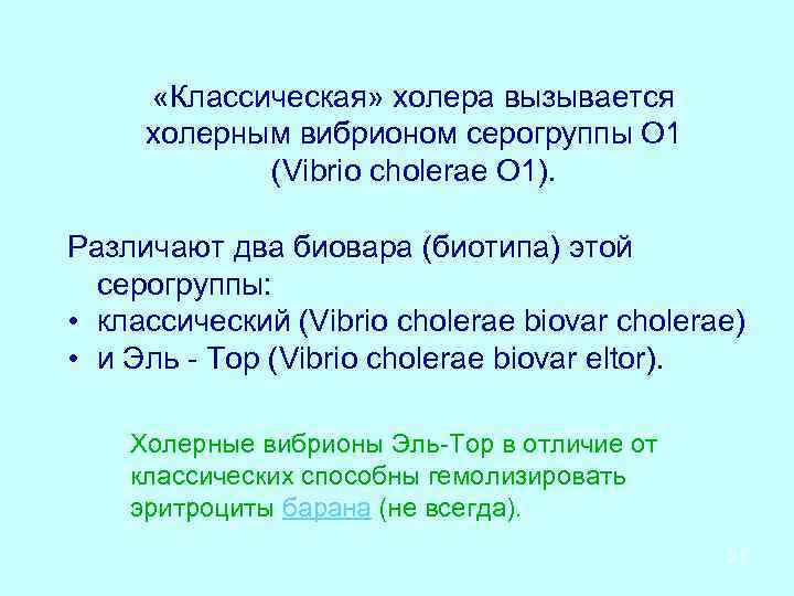  «Классическая» холера вызывается холерным вибрионом серогруппы О 1 (Vibrio cholerae O 1). Различают