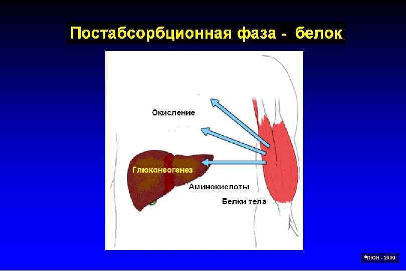  ЛЮН - 2009 