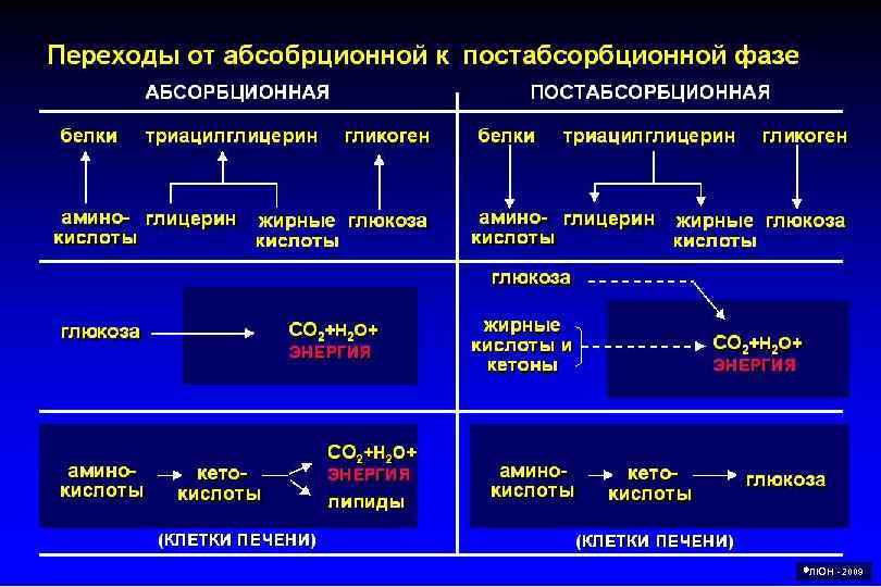  ЛЮН - 2009 