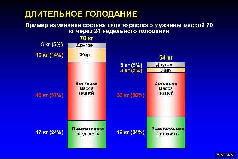  ЛЮН - 2009 