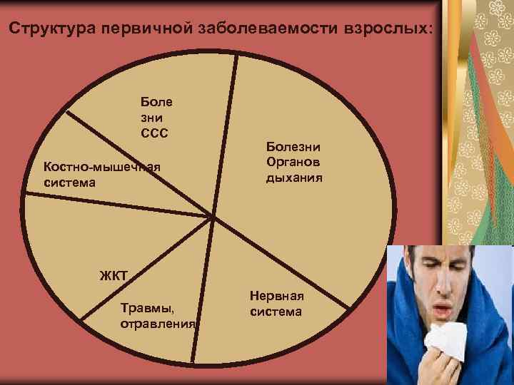 Структура первичной заболеваемости взрослых: Боле зни ССС Костно-мышечная система Болезни Органов дыхания ЖКТ Травмы,