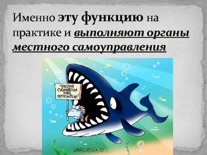 Именно эту функцию на практике и выполняют органы местного самоуправления 