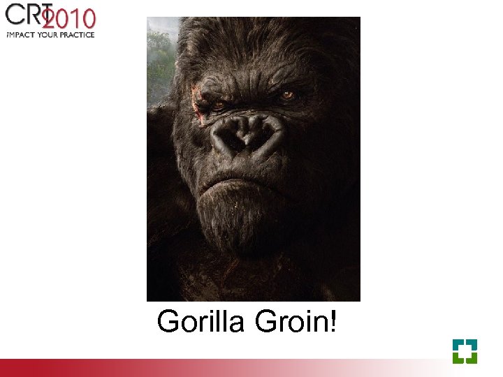 Gorilla Groin! 