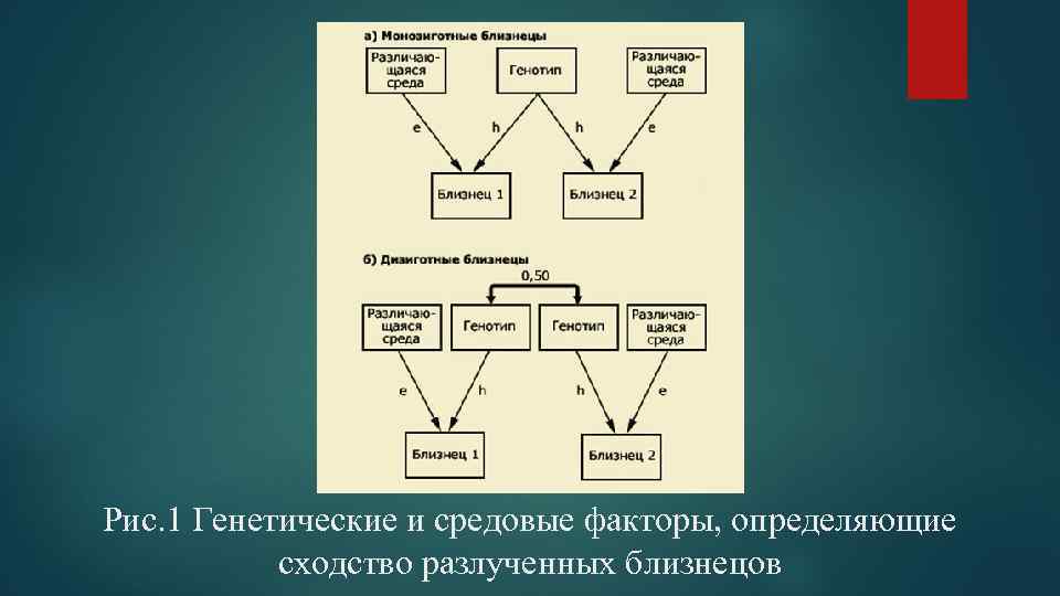 Рис. 1 Генетические и средовые факторы, определяющие сходство разлученных близнецов 