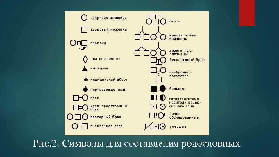 Рис. 2. Символы для составления родословных 