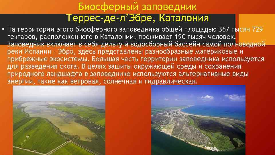 Биосферный заповедник Террес-де-л’Эбре, Каталония • На территории этого биосферного заповедника общей площадью 367 тысяч