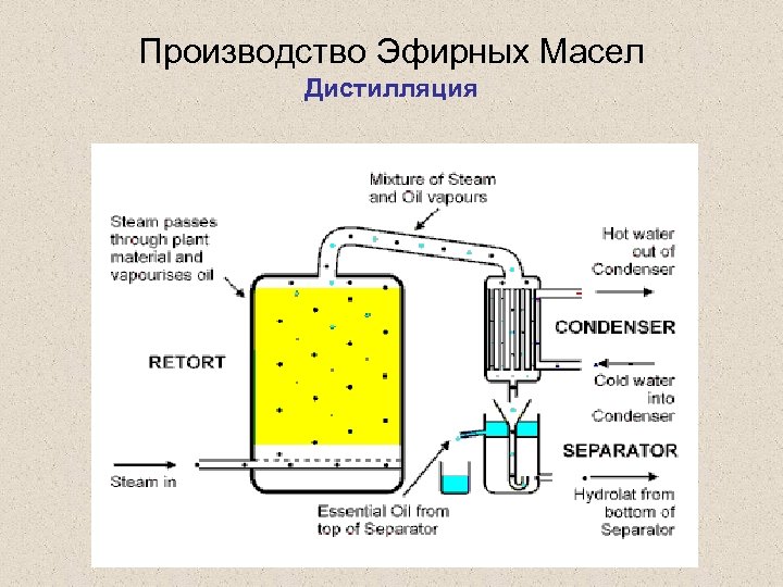 Производство Эфирных Масел Дистилляция 