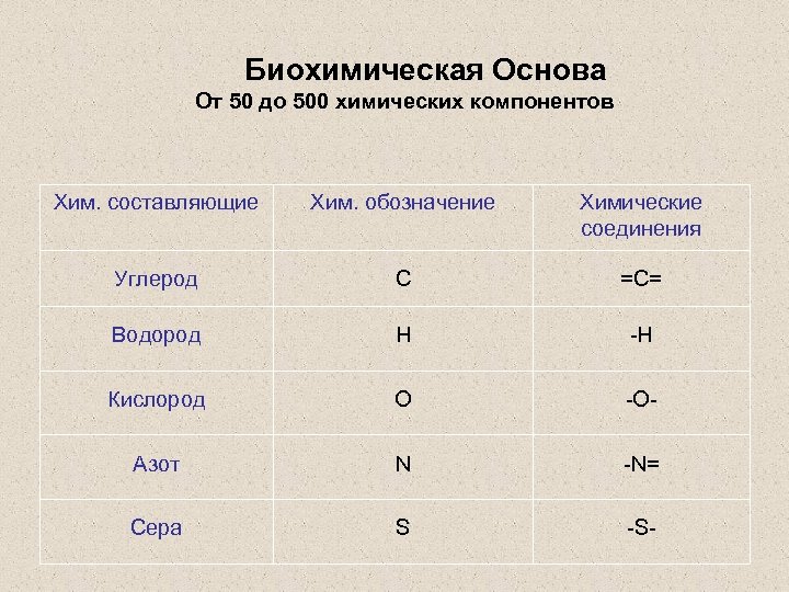  Биохимическая Основа От 50 до 500 химических компонентов Хим. составляющие Хим. обозначение Химические