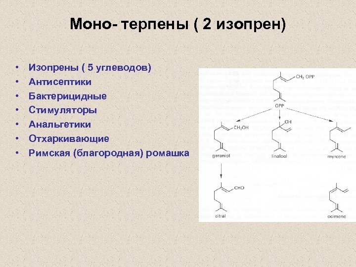 Моно- терпены ( 2 изопрен) • • Изопрены ( 5 углеводов) Антисептики Бактерицидные Стимуляторы