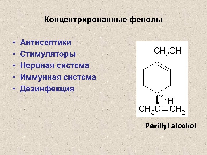 Концентрированные фенолы • • • Антисептики Стимуляторы Нервная система Иммунная система Дезинфекция Perillyl alcohol