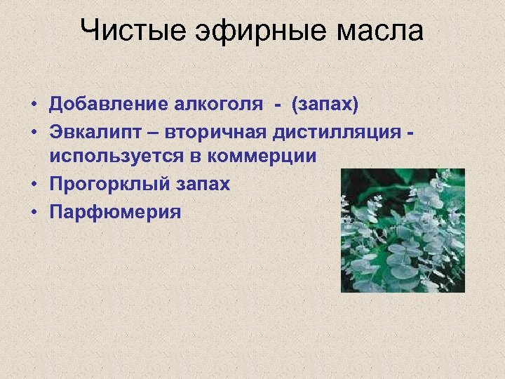 Чистые эфирные масла • Добавление алкоголя - (запах) • Эвкалипт – вторичная дистилляция -