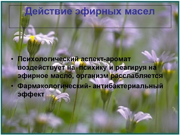 Действие эфирных масел • Психологический аспект-аромат воздействует на психику и реагируя на эфирное масло,